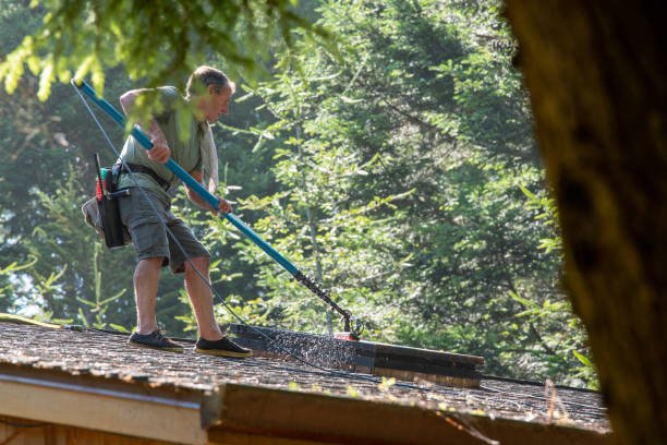 How to Clean Colorbond Roof: 7 Proven Steps